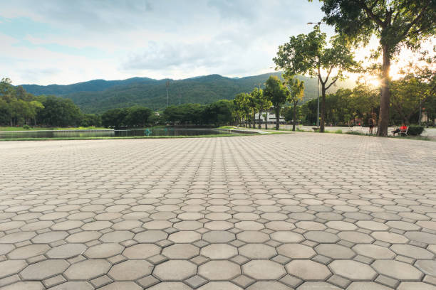 Best Commercial Driveway Pavers  in East Lake, FL